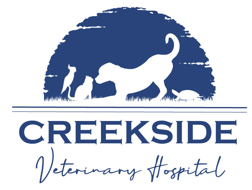 Creekside Veterinary Hospital