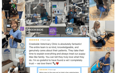 January 2026 Newsletter