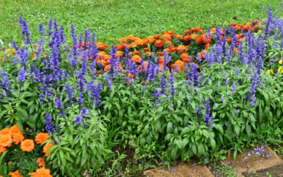 April at Creekside: A Place for Love, Healing & Remembrance